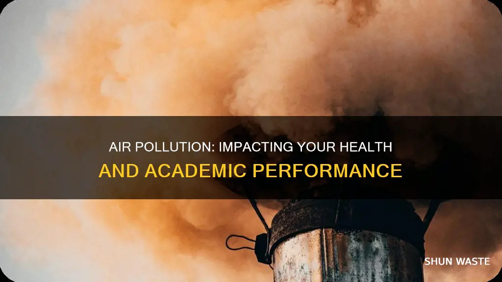 why air pollution could be linked to your school marks