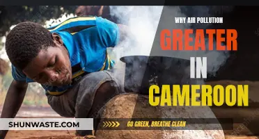 Air Pollution in Cameroon: Why It's a Growing Concern