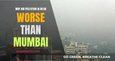 Delhi's Air Pollution: Why It's Worse Than Mumbai
