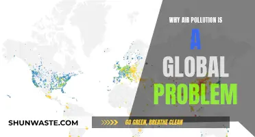Air Pollution: A Global Crisis