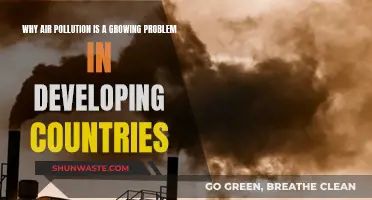 Developing Nations Choke on Air Pollution