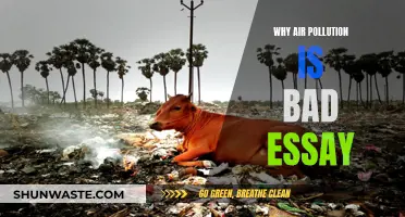 Air Pollution: A Deadly Crisis