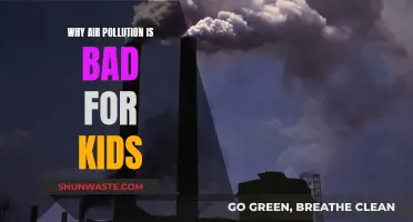 Air Pollution: A Danger to Our Children's Health