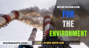 Air Pollution's Devastating Impact: Harming Ecosystems, Climate, and Life