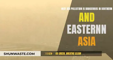 Air Pollution's Deadly Grip on Southern and Eastern Asia
