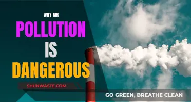 Air Pollution: A Slow, Silent, and Deadly Danger