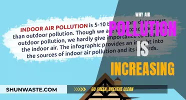 Air Pollution's Rise: Understanding the Worsening Crisis