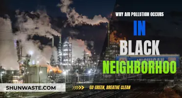 Air Pollution's Racial Bias: Why Black Neighborhoods Suffer