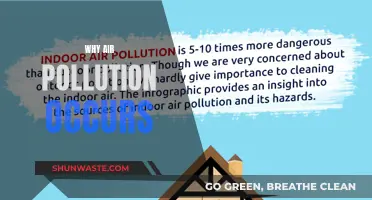 Air Pollution: Human Activities, Harmful Emissions