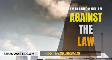 Pollution: A Crime Against Our Health and Planet