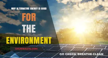 Sustainable Power: How Alternative Energy Benefits Our Environment