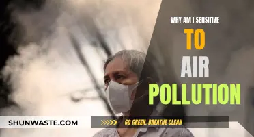 Air Pollution Sensitivity: Why Am I Affected?