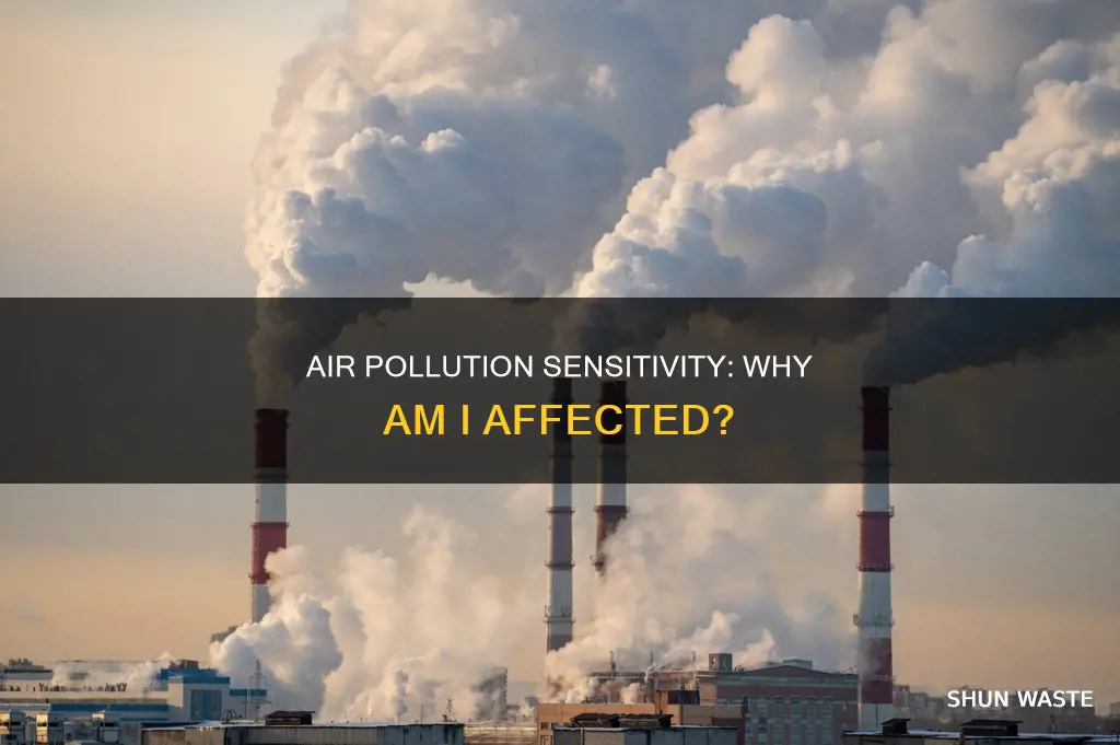 why am i sensitive to air pollution