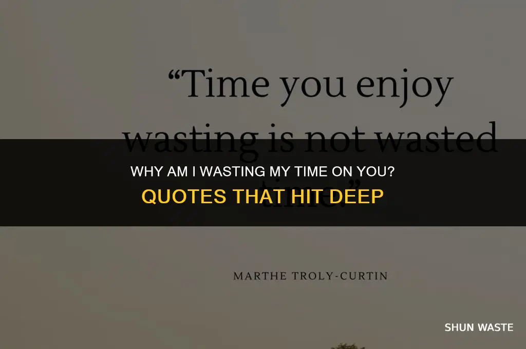 why am i wasting my time on you quotes