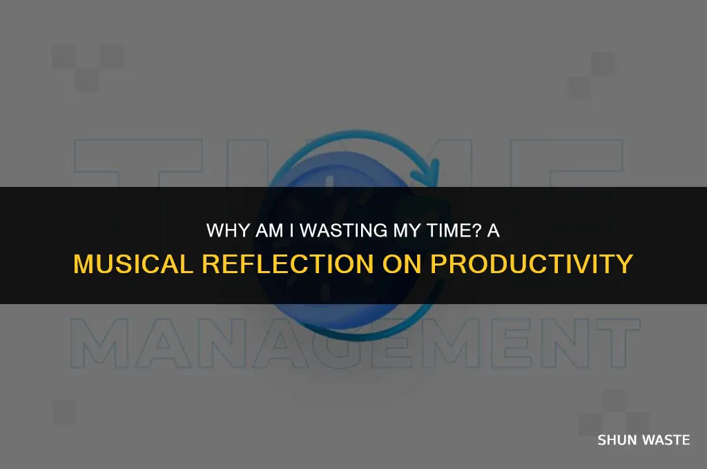 why am i wasting my time song