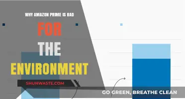 Amazon Prime's Environmental Impact: Unpacking the Hidden Ecological Costs