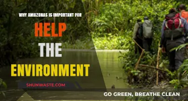 Amazonas: Earth's Vital Lung for Climate and Biodiversity Preservation