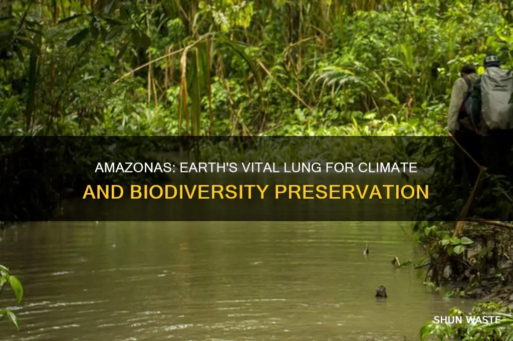 why amazonas is important for help the environment