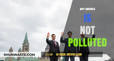 America's Clean Environment: Debunking Pollution Myths and Uncovering Truths