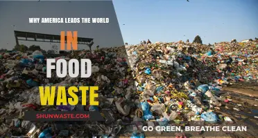 America's Food Waste Crisis: A Global Leader in Squander