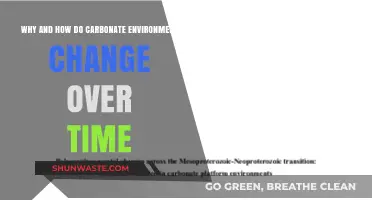 Unraveling the Dynamic Evolution of Carbonate Environments Through Time