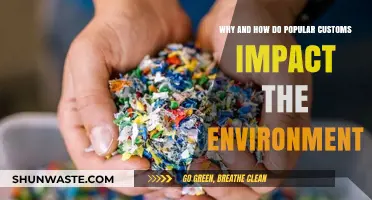 How Popular Customs Shape Our Environment: Impacts and Solutions