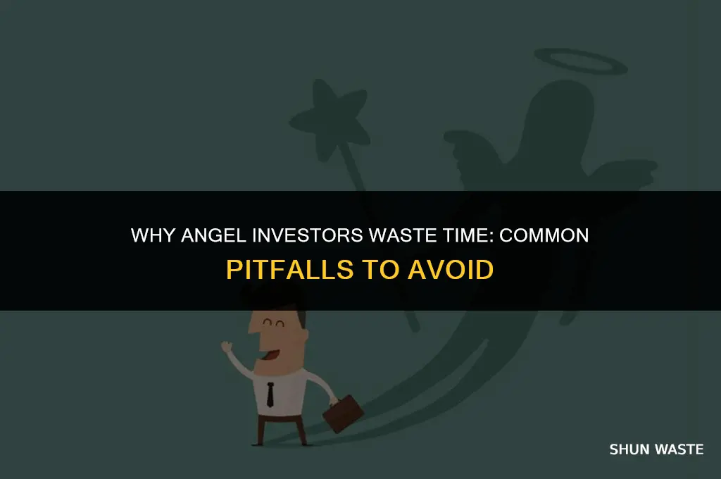 why angel investors waste time