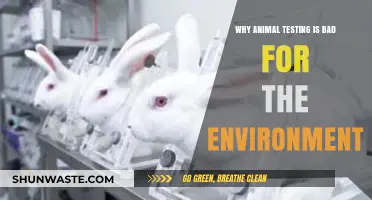 Animal Testing's Hidden Cost: Environmental Destruction and Ecosystem Harm