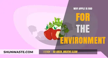 Apple's Environmental Impact: Uncovering the Dark Side of Innovation
