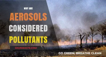 Aerosols as Pollutants: Uncovering Their Environmental Impact and Harmful Effects