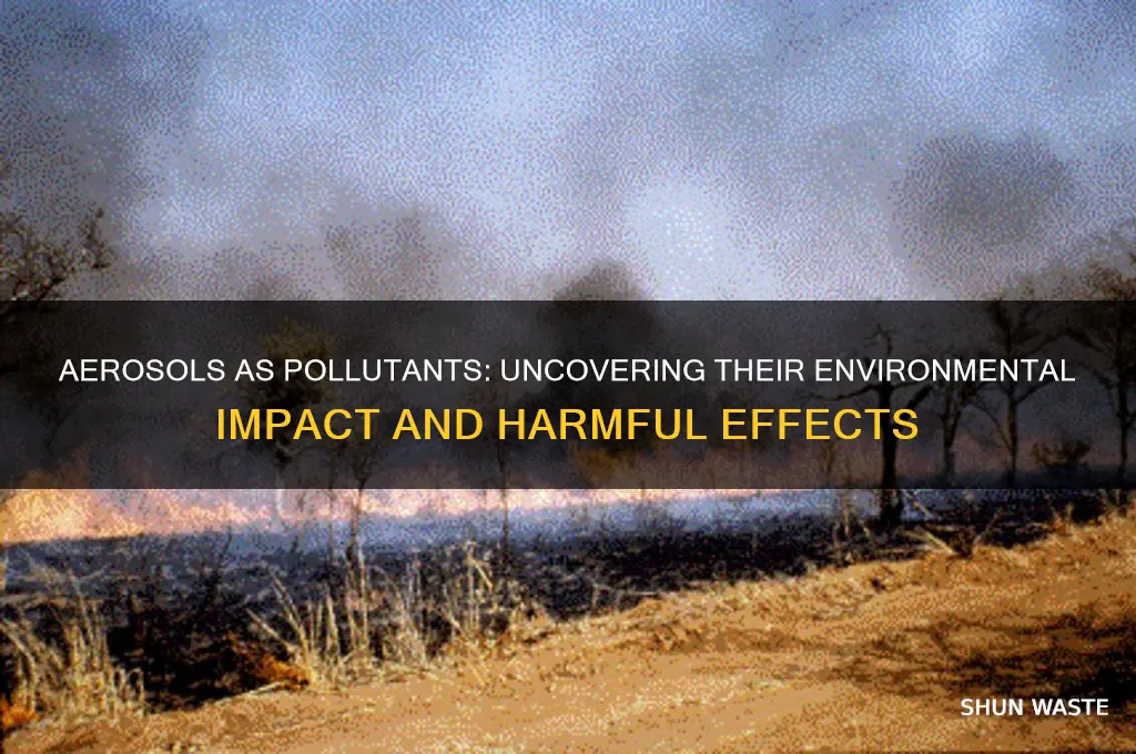 why are aerosols considered pollutants