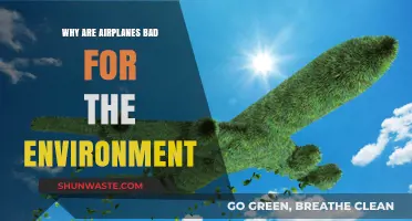 Air Travel's Environmental Impact: How Planes Harm Our Planet