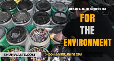 Alkaline Batteries' Environmental Impact: Pollution, Waste, and Sustainability Concerns