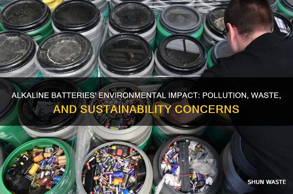 why are alkaline batteries bad for the environment