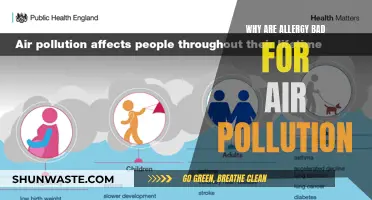 Allergies and Air Pollution: A Dangerous Combination
