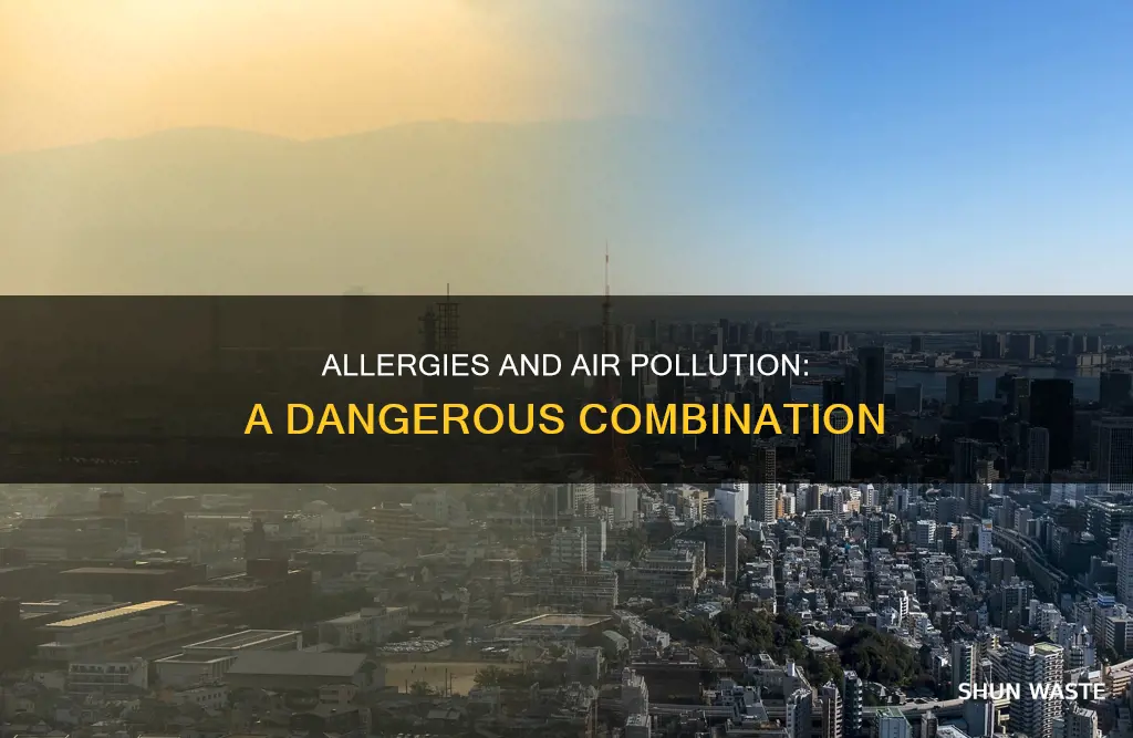 why are allergy bad for air pollution