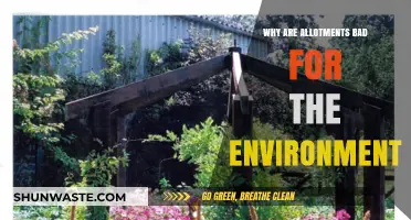Allotments' Hidden Environmental Costs: Uncovering the Green Space Paradox