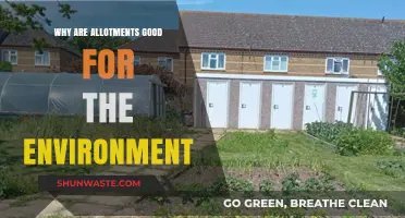 Allotments: Eco-Friendly Spaces Boosting Biodiversity and Sustainable Living