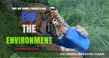 Animal Products' Environmental Impact: Uncovering the Hidden Ecological Costs