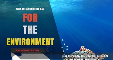 Antibiotics' Environmental Impact: Unseen Dangers and Long-Term Consequences