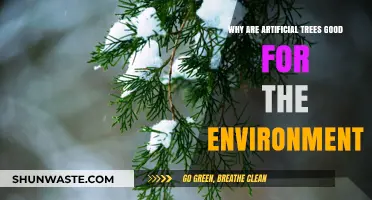 Eco-Friendly Benefits: How Artificial Trees Help Protect Our Environment