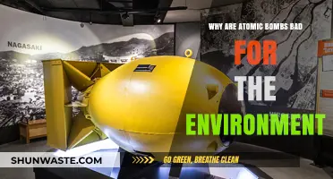 Atomic Bombs' Devastating Environmental Impact: Long-Term Consequences Explained