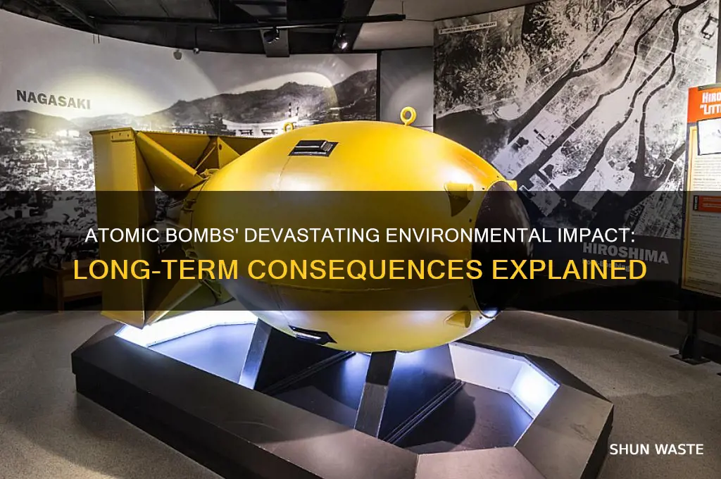 why are atomic bombs bad for the environment