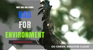 Balloons' Hidden Environmental Impact: Harmful Effects and Sustainable Alternatives
