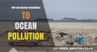 Beaches in Peril: Understanding Their Vulnerability to Ocean Pollution