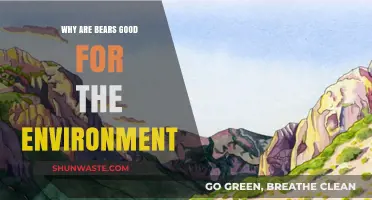Bears as Eco-Guardians: Their Vital Role in Sustaining Ecosystems
