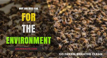 Debunking the Myth: Are Bees Truly Harmful to Ecosystems?