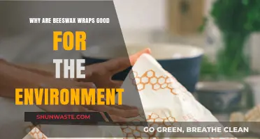 Eco-Friendly Beeswax Wraps: Sustainable Alternative to Plastic Food Storage