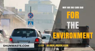 Big Cars, Bigger Impact: Environmental Costs of Oversized Vehicles