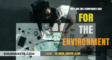 Corporate Giants' Environmental Impact: Uncovering the Hidden Ecological Costs